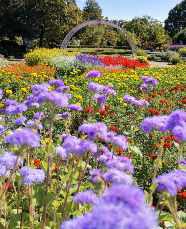 愛知県春日井市